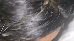 Exclusive Beautiful Married Busty Wife Fucking Hard Sucking Dick