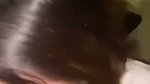 Desi Model Giving Amazing Blowjob Full Face Clear Audio