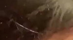 Desi Model Giving Amazing Blowjob Full Face Clear Audio