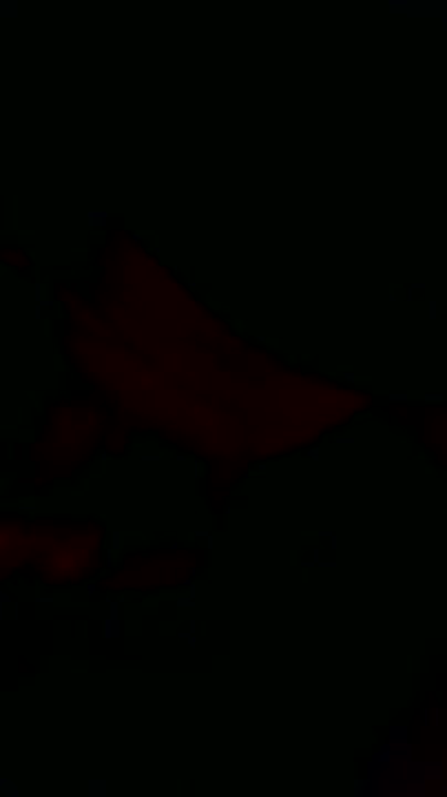 Frame 3