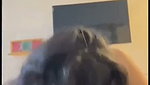 South Indian Model Giving blowjob And Doggy Style Fucked Dont Miss