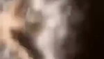 Sexy Babe Giving blowjob Fucked