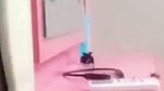 Sexy girlfriend giving Blowjob to bf