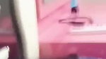 Sexy girlfriend giving Blowjob to bf