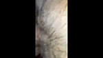 Hot girlfriend fucking with bf