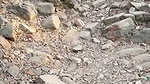 Jungle dare done by sexy bhabhi