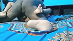 Husband fuck his wife on bed