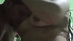 Village bhabhi giving Blowjob to neighbour devar
