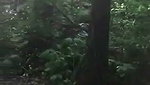 Girlfriend giving Blowjob  fuck hard in middle of jungle