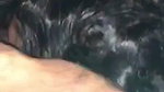 Hot lady giving Blowjob  fuck hard with husband