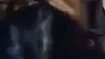 Sexy girl showing her sweet boob  giving Blowjob