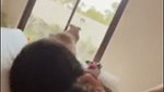 Ashwitha Latest Best Hard Fucking Blowjob Hard Doggy Backshot