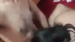 Uncle enjoying Blowjob given by neighbour aunty