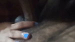 Telugu Wife Giving Blowjob To Lover