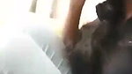 Mallu Girl Public Blowjob And Handjob Outdoor Video