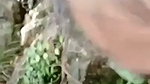 Mallu Girl Public Blowjob And Handjob Outdoor Video
