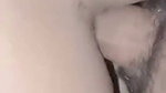 Slim Gf Sucking And Hard Doggy Fuck