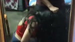 New update sexy hot girl showing to bf