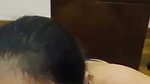 bj di