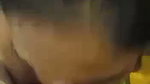 bj di