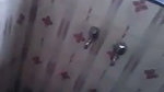 Daily Viral 2 2  mp4