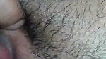 pussy licking