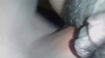 pussy licking
