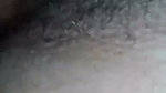 pussy licking