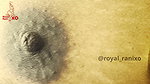 Tamil Wife Rani Breasts  Nipples Close up