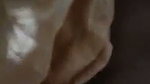 sexy girl applying oil  riding bf cock