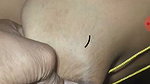 Tamil aunty boobs press show pussy  give Blowjob