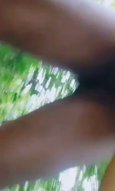 Frame 7