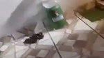 Boyfriend enjoying with gf  show her sexy nude figure fuck