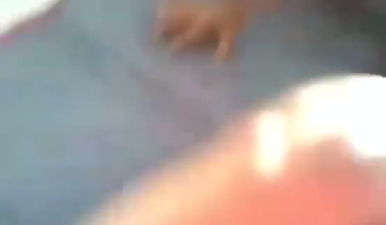 Frame 1
