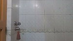 Bengali Cute GF Showing  1