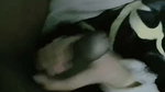 Sexy Indian Horny Gf 5