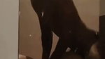 Indian Horny Gf With Great Asshole 5