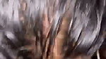 Tamil Girl Blowjob Hard Fucking 1