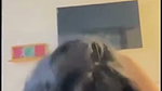 Babe with big titties babe sucking dick