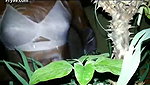 Jungle Mai Shower Camping