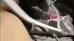 Sexy girl showing her pink pussy on vc