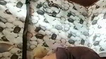 The girl moan loudly when brother fuck her hard in bathroom