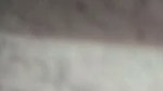 sheuly 7