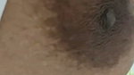 sheuly 6