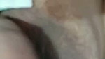 sheuly 6
