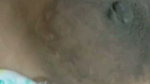 sheuly5