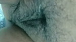 sheuly 3