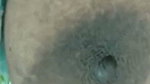 sheuly 3