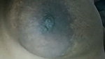 sheuly 1