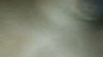sheuly 1
